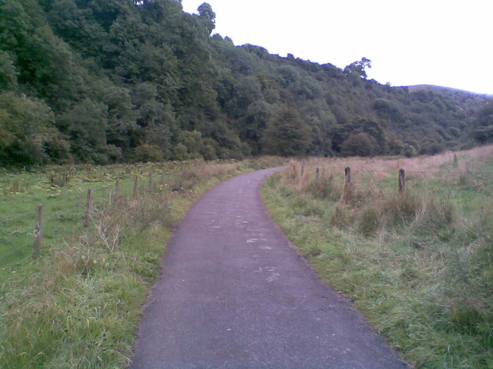 The Manifold Track near Wetton