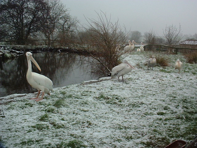 Peak Wildlife Park